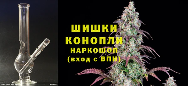дурь Арсеньев