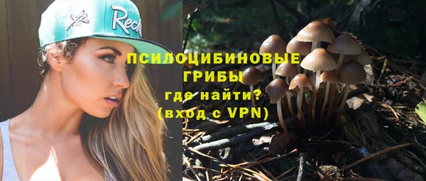 стафф Баксан