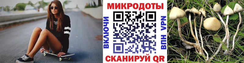 Галлюциногенные грибы мицелий  Боровичи 